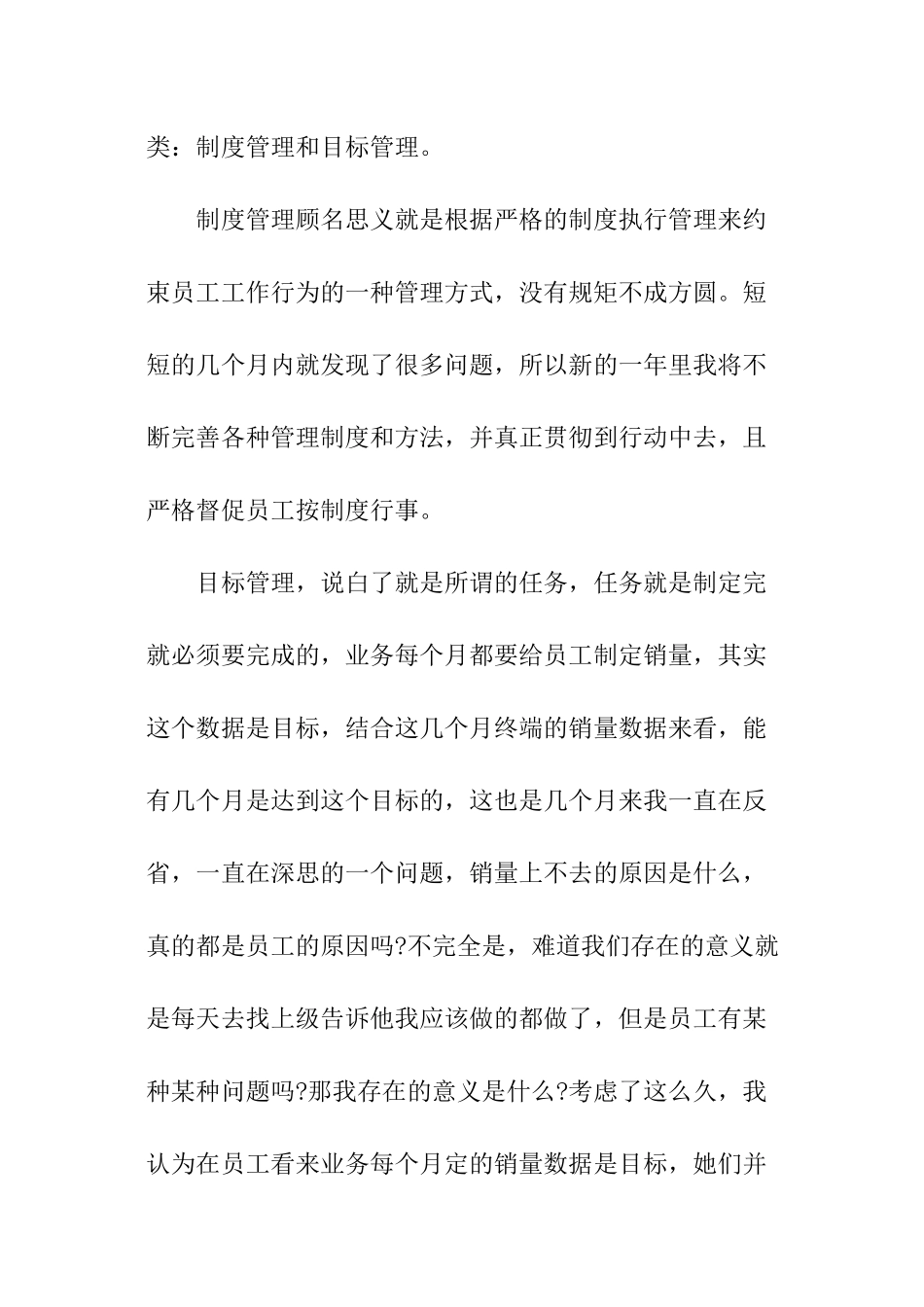 销售总监工作总结_第2页