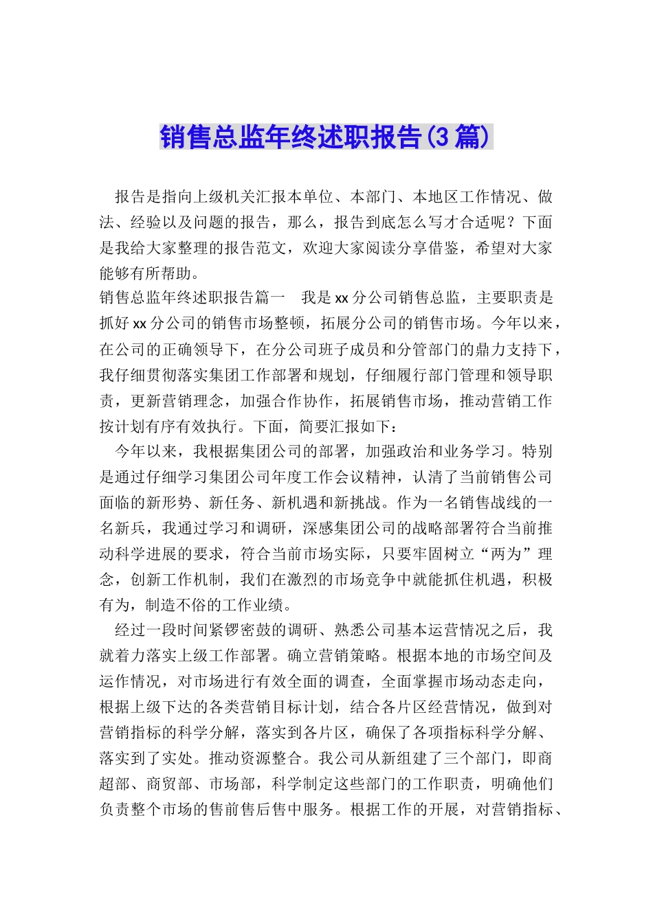 销售总监年终述职报告_第1页