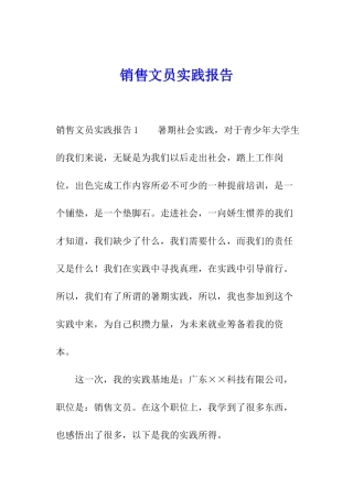 销售文员实践报告