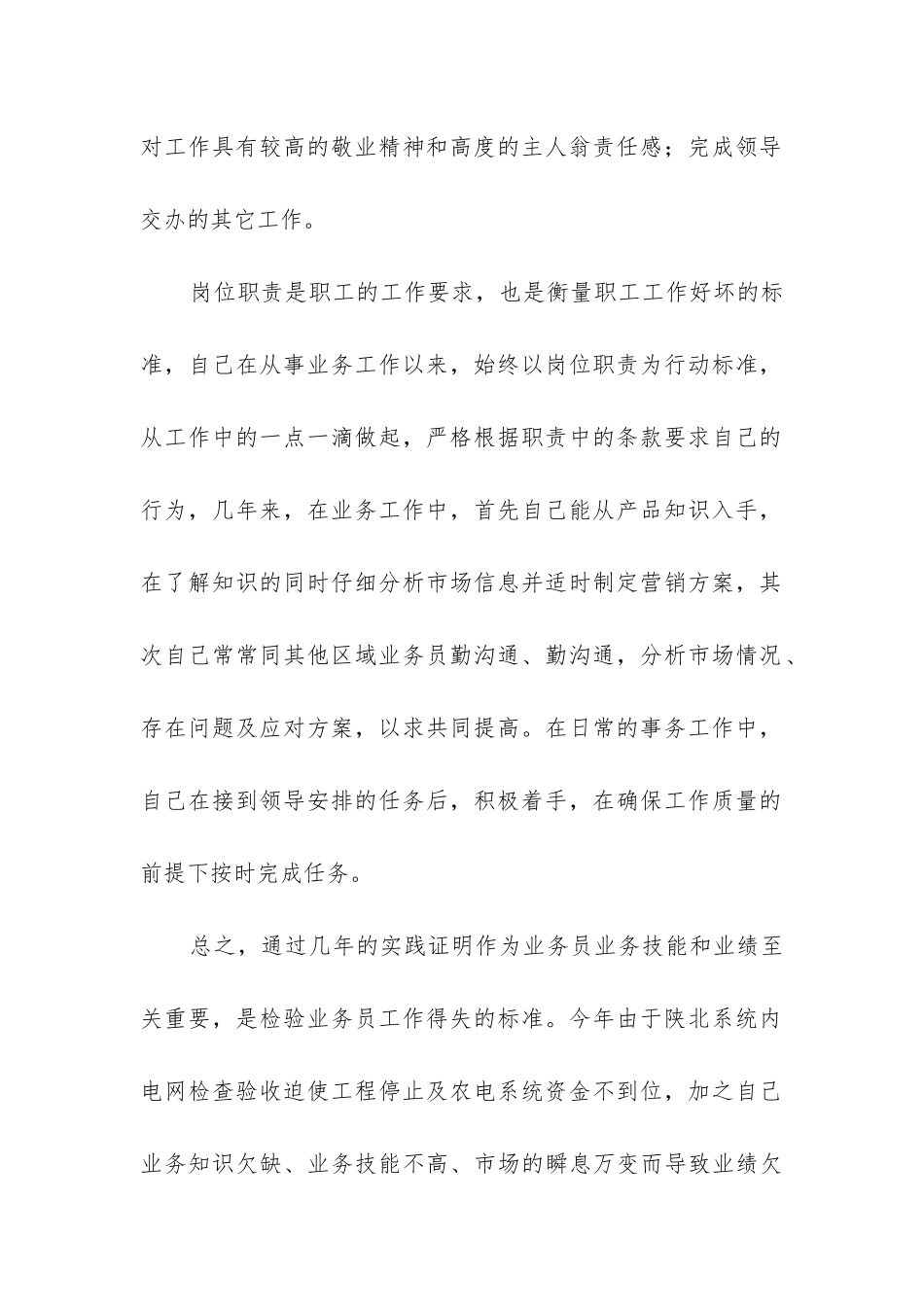 销售的工作总结(推荐10篇)_第2页