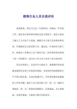 销售行业人员自我评价