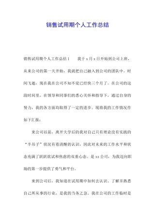 销售试用期个人工作总结