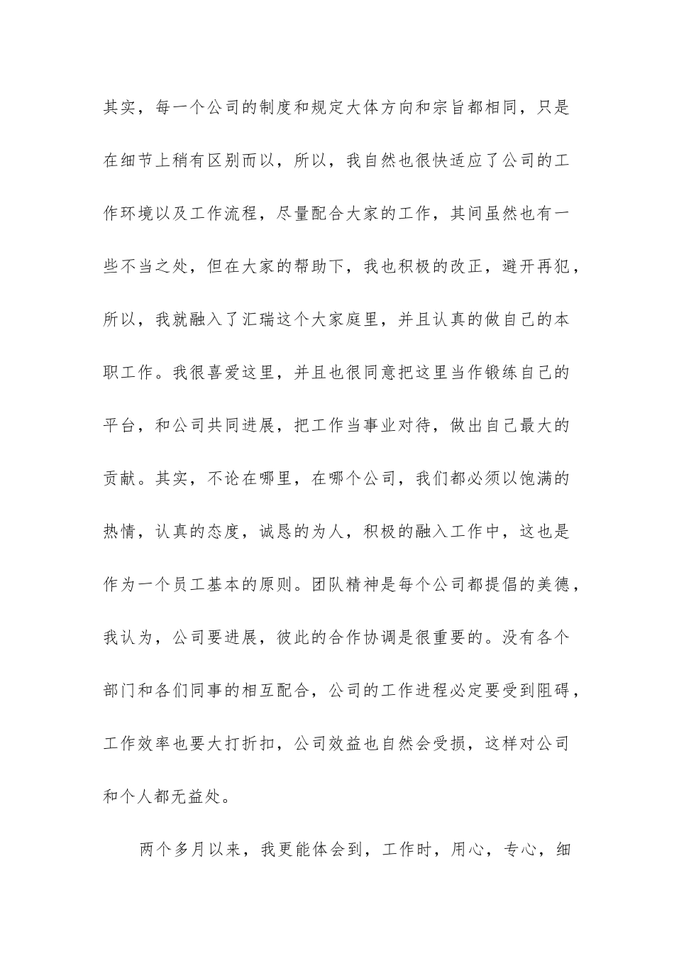 销售试用期工作总结_第2页