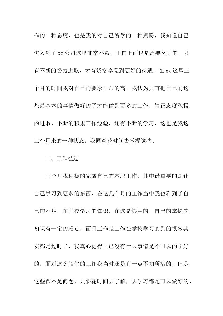 销售试用期工作总结(精选5篇)_第2页