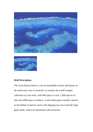 The Great Barrier Beef