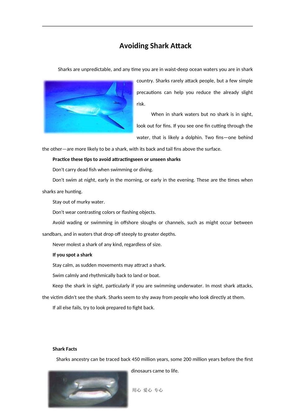 Avoiding Shark Attack_第1页