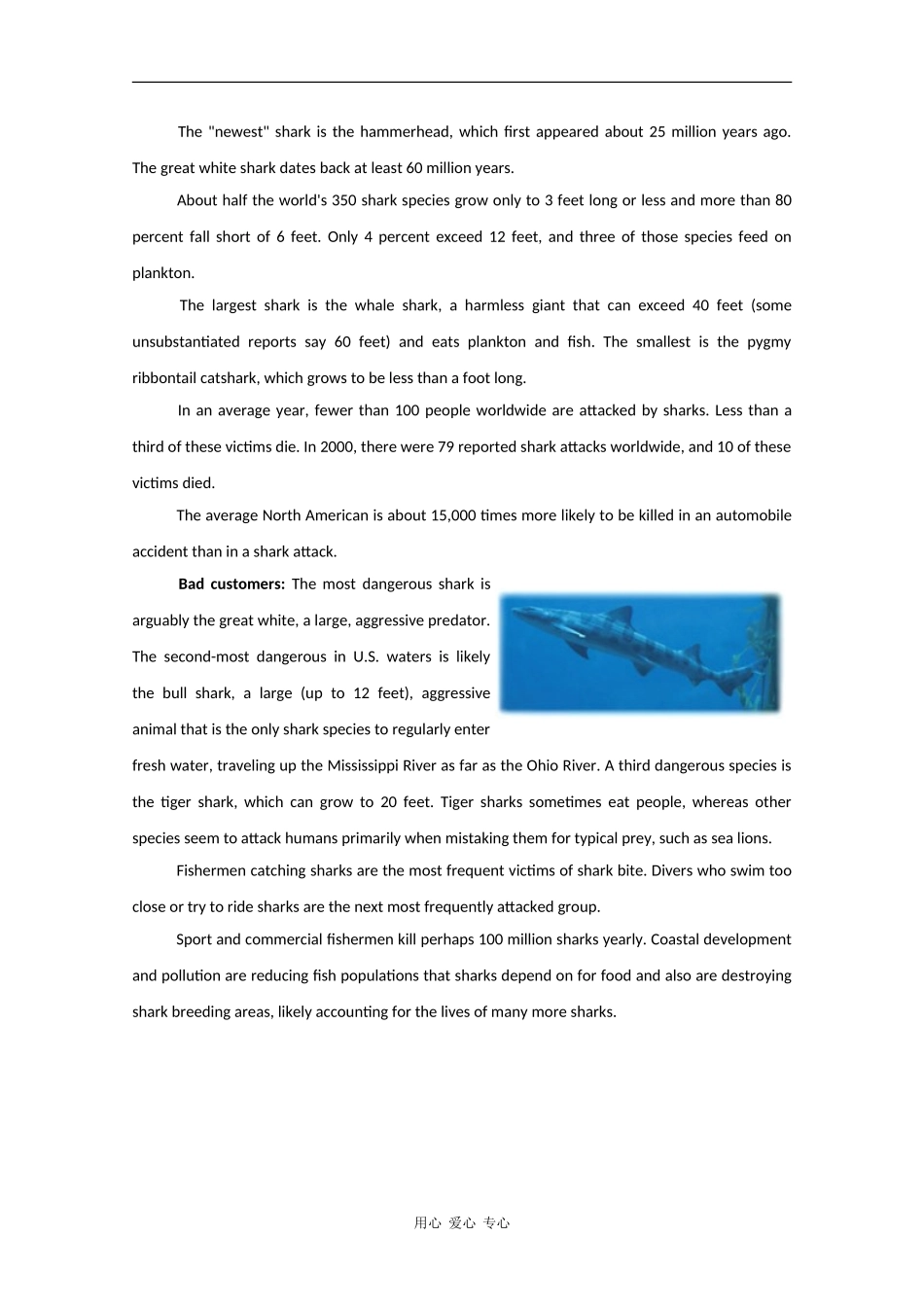 Avoiding Shark Attack_第2页