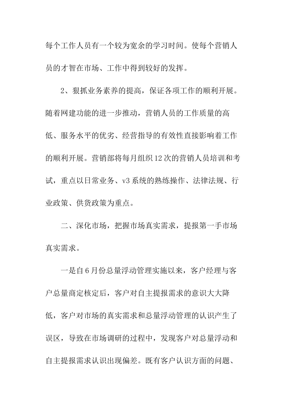 销售经理销售的工作计划_第2页