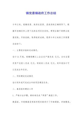 镇党委镇政府工作总结-