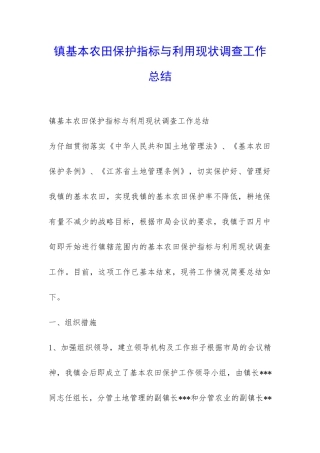 镇基本农田保护指标与利用现状调查工作总结-