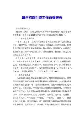镇年招商引资工作自查报告