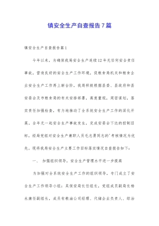 镇安全生产自查报告7篇