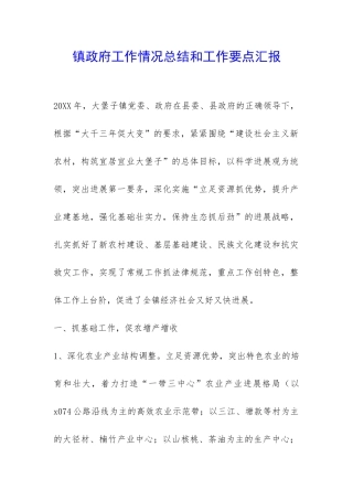 镇政府工作情况总结和工作要点汇报-
