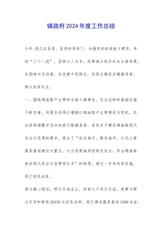镇政府2024年度工作总结-