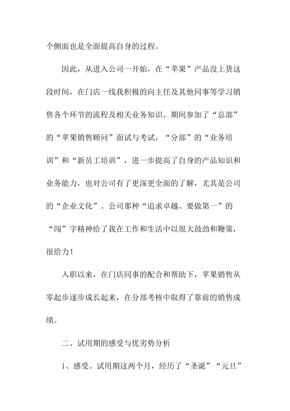 门店个人总结._第2页