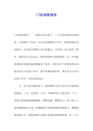 门店调查报告