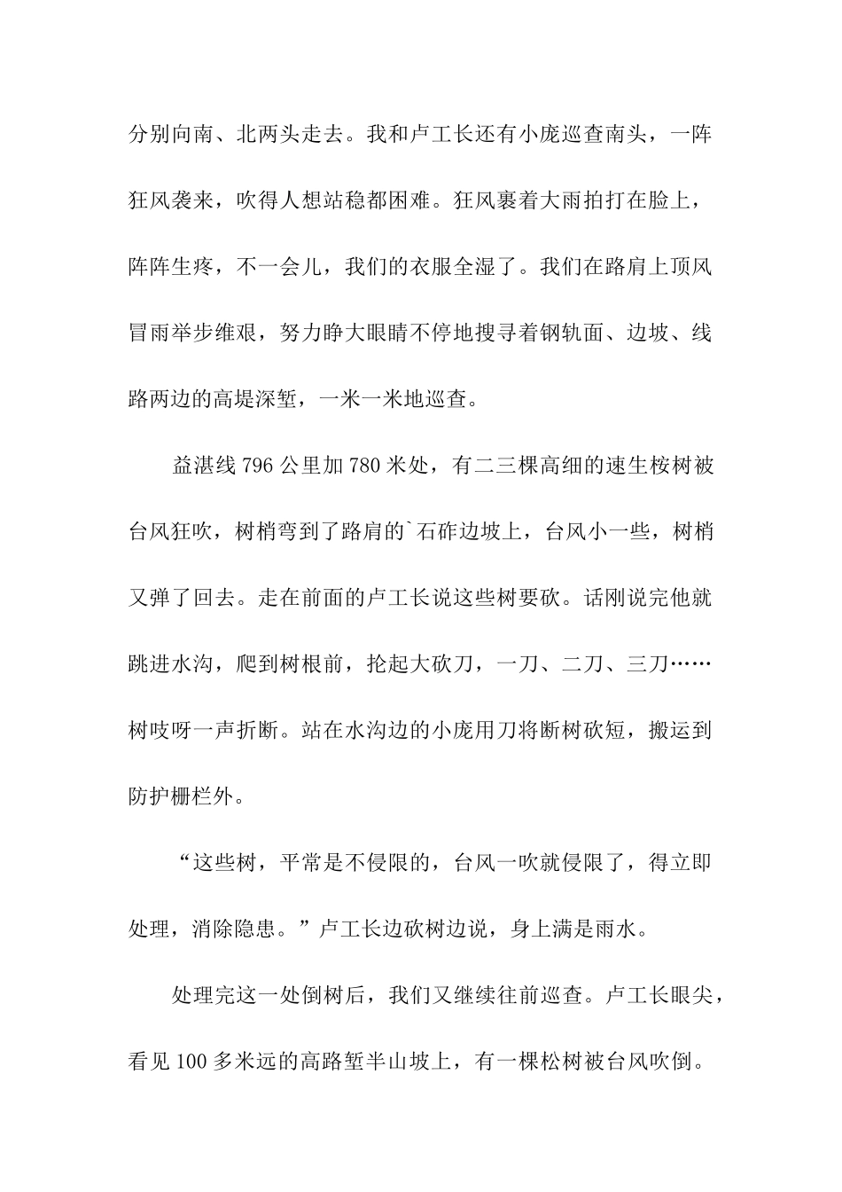 防台风的工作简报_第2页