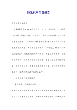 防汛抗旱自查报告-