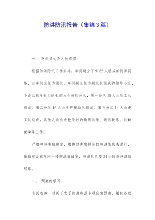 防洪防汛报告