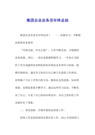 集团企业业务员年终总结