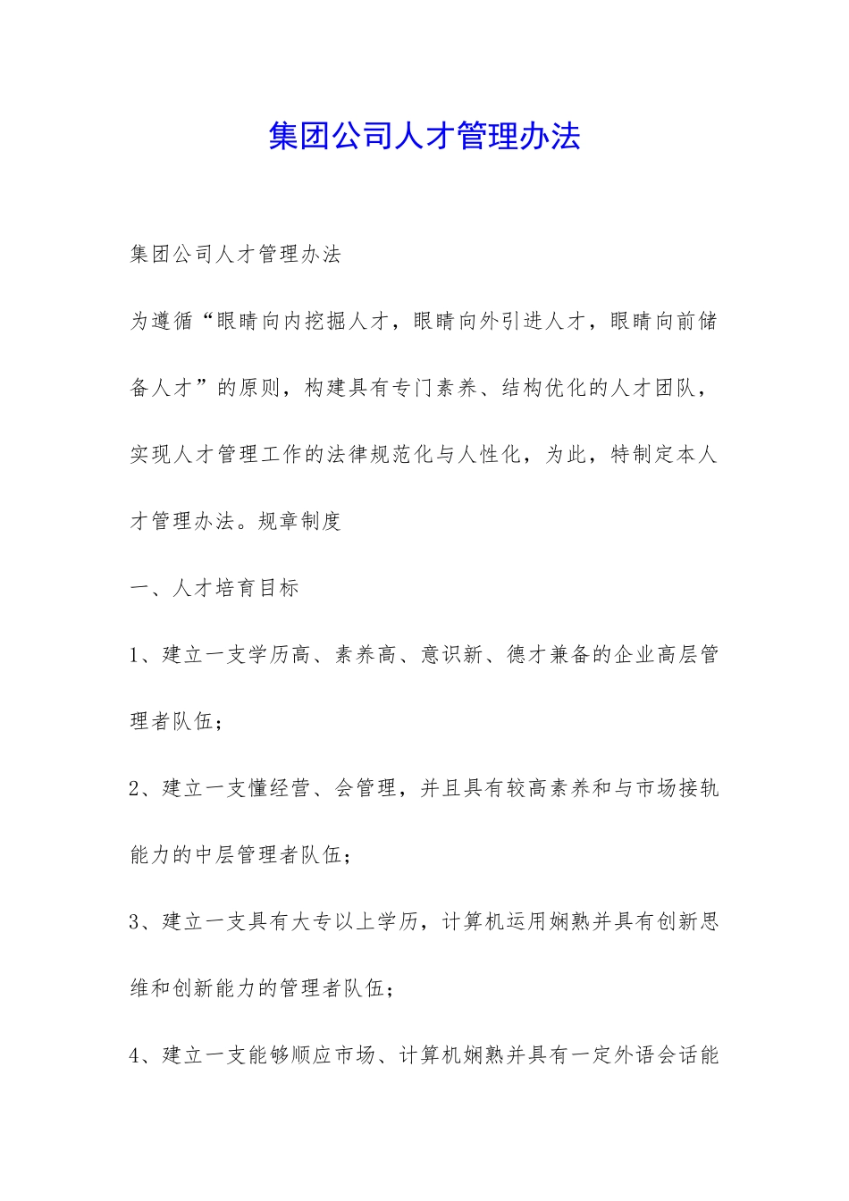 集团公司人才管理办法-_第1页