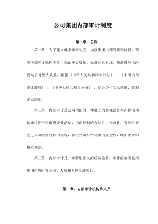 集团内部审计制度