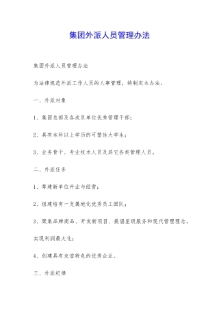 集团外派人员管理办法-