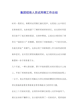 集团招商人员试用期工作总结-