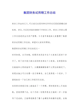 集团财务试用期工作总结-