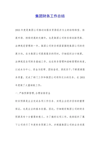 集团财务工作总结-