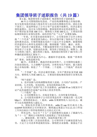 集团领导班子述职报告