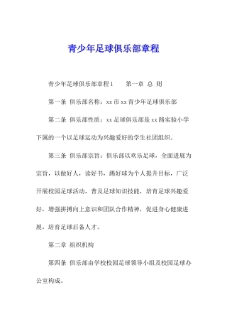 青少年足球俱乐部章程