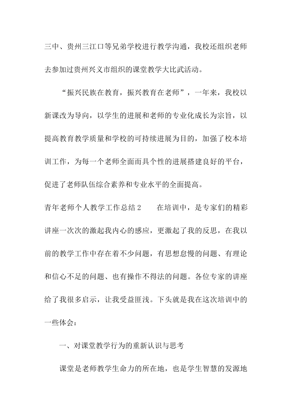青年教师个人教学工作总结_第3页