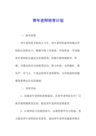 青年教师培养计划