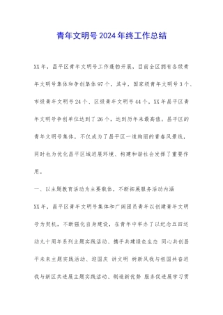 青年文明号2024年终工作总结-