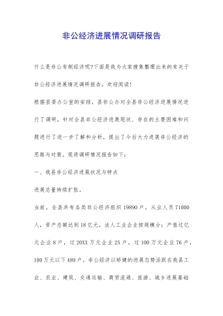 非公经济发展情况调研报告-