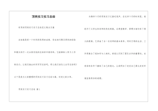 顶岗实习实习总结