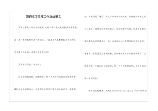 顶岗实习月度工作总结范文