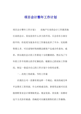 项目会计整年工作计划
