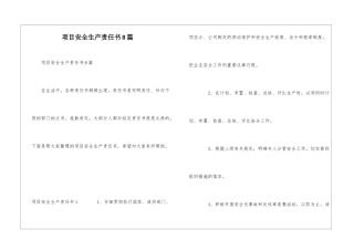项目安全生产责任书8篇