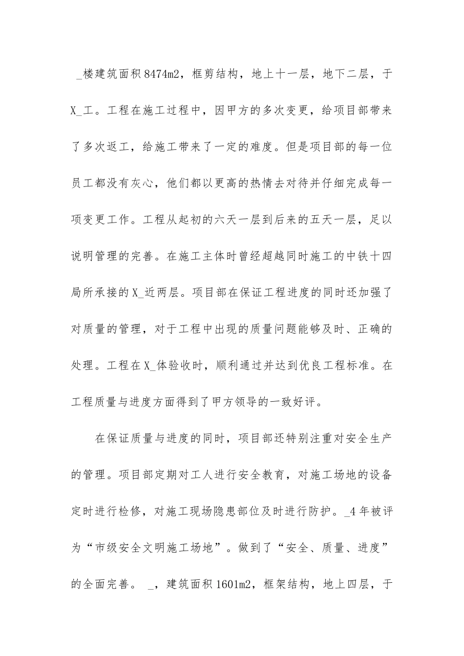 项目工作总结报告模版_第2页