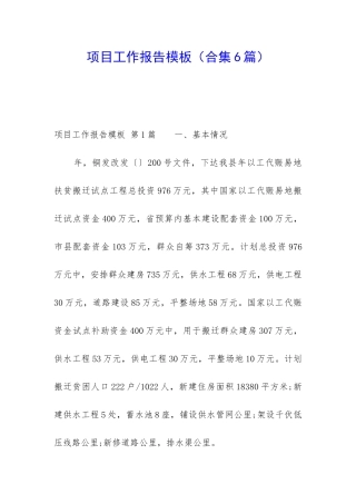 项目工作报告模板