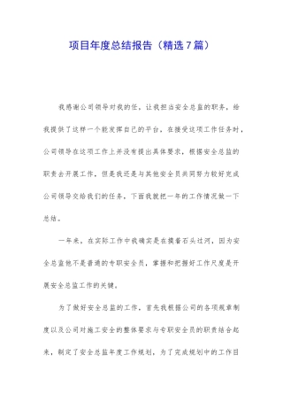 项目年度总结报告