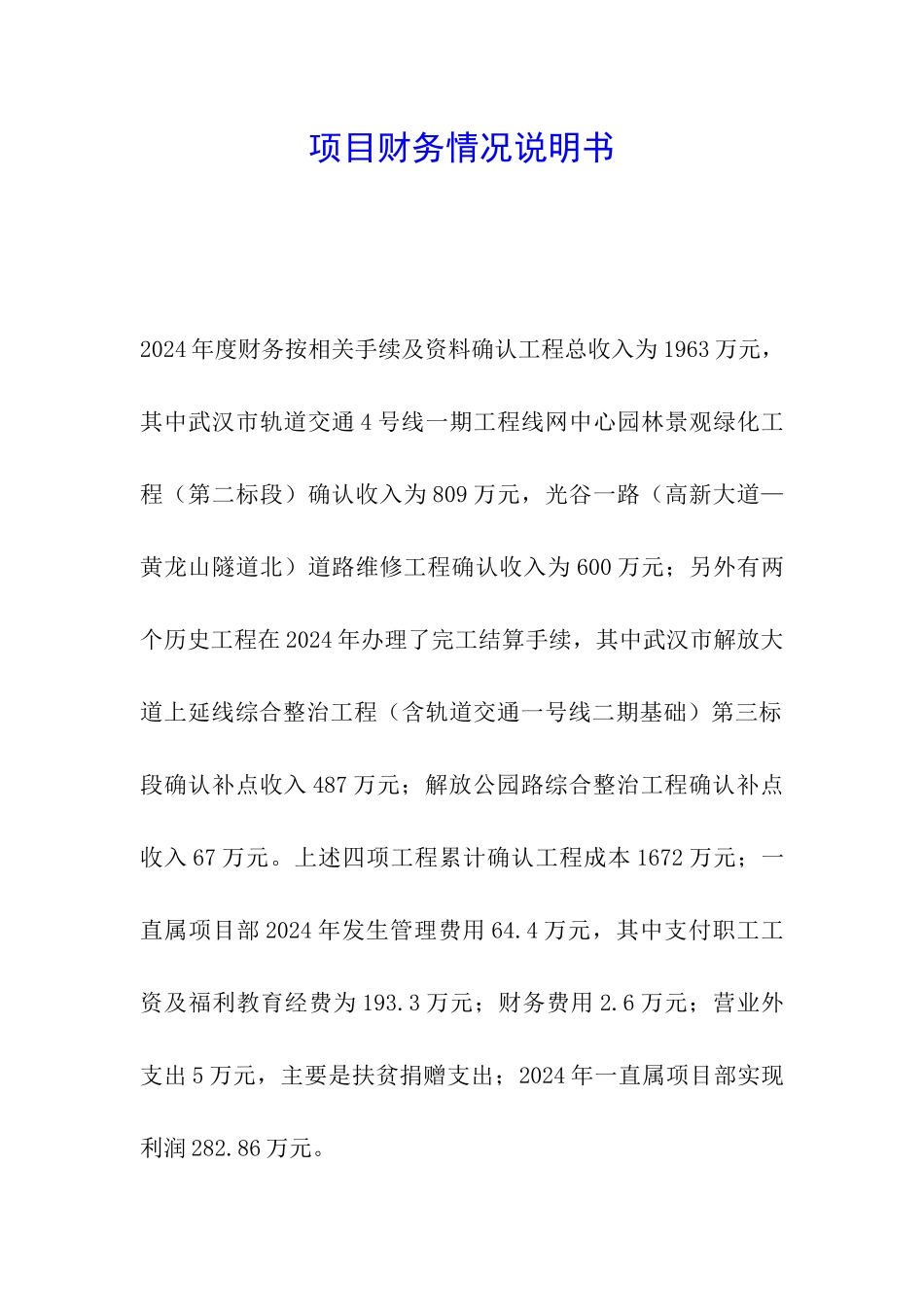项目财务情况说明书_第1页