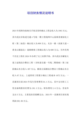 项目财务情况说明书