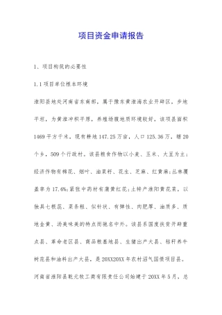 项目资金申请报告-