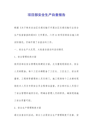 项目部安全生产自查报告-