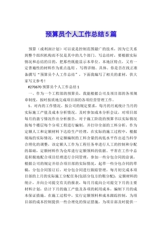 预算员个人工作总结5篇