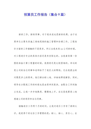 预算员工作报告