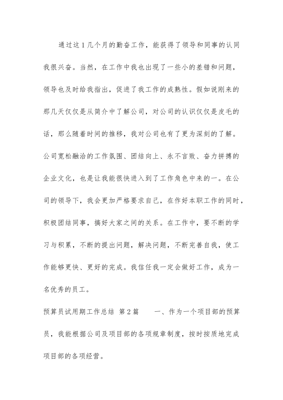 预算员试用期工作总结_第2页